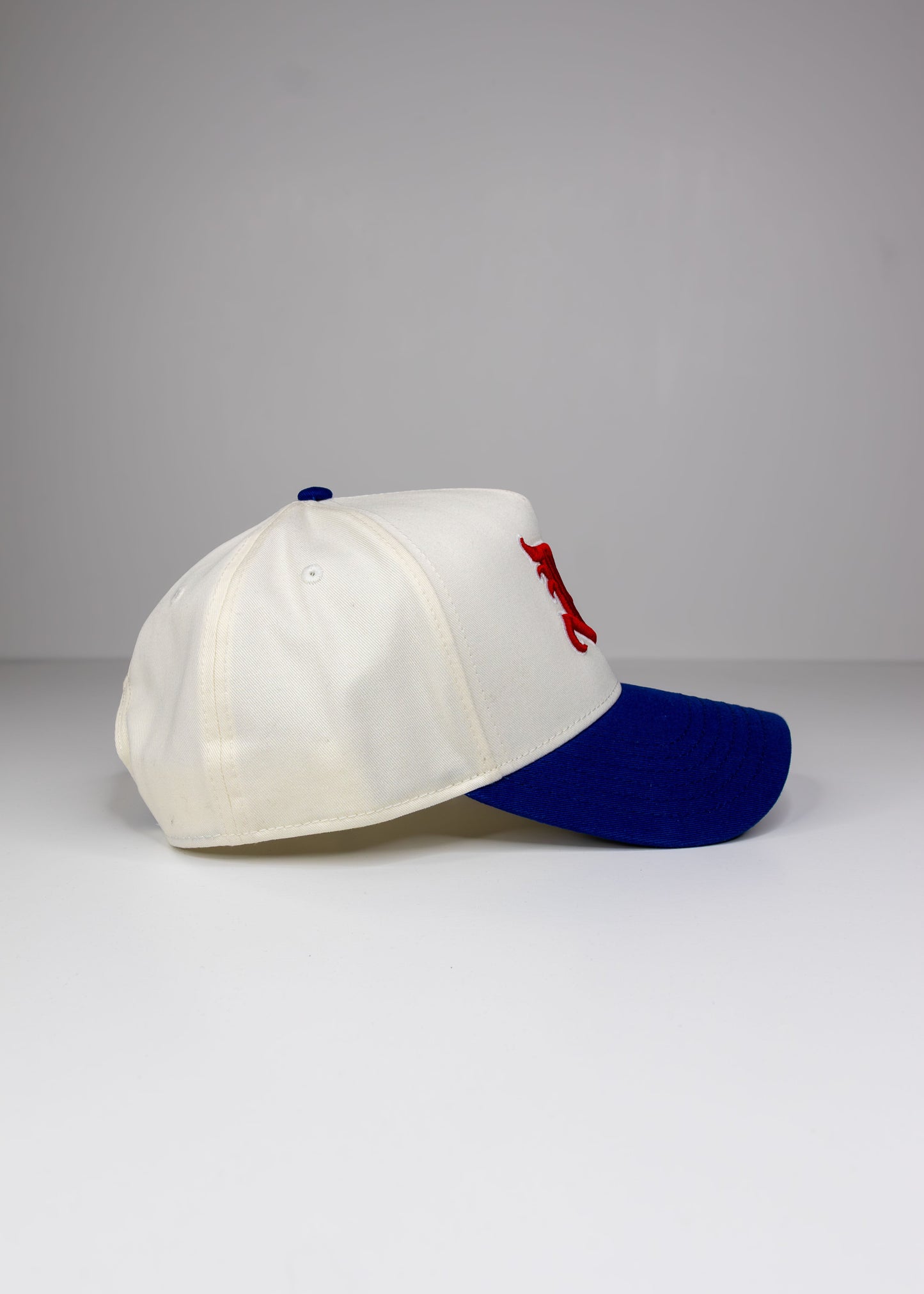 Liberty 5 Panel Snapback